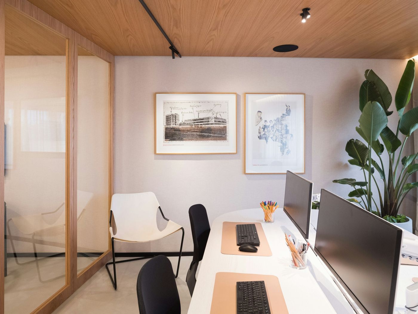 Modern office with wood-panelled ceiling, desks and a glass meeting room